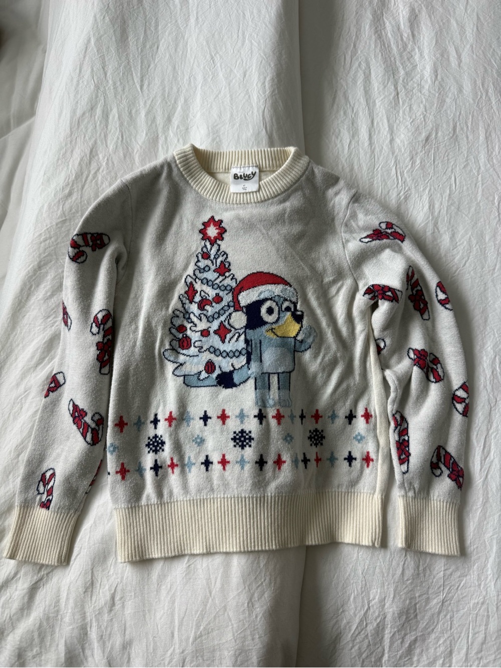 Toddler bluey Christmas sweater